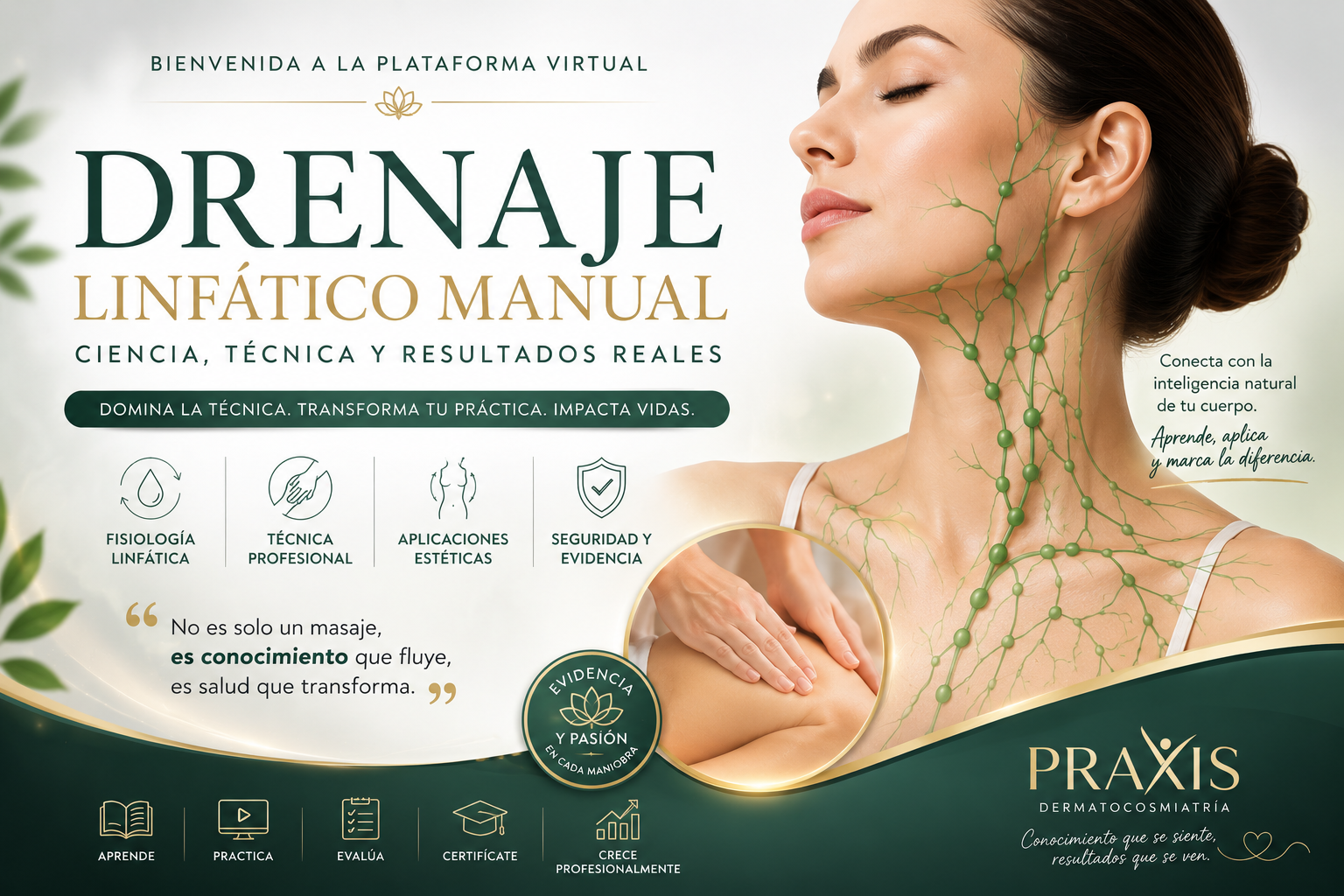 Bienvenido al módulo de Drenaje Linfático Manual