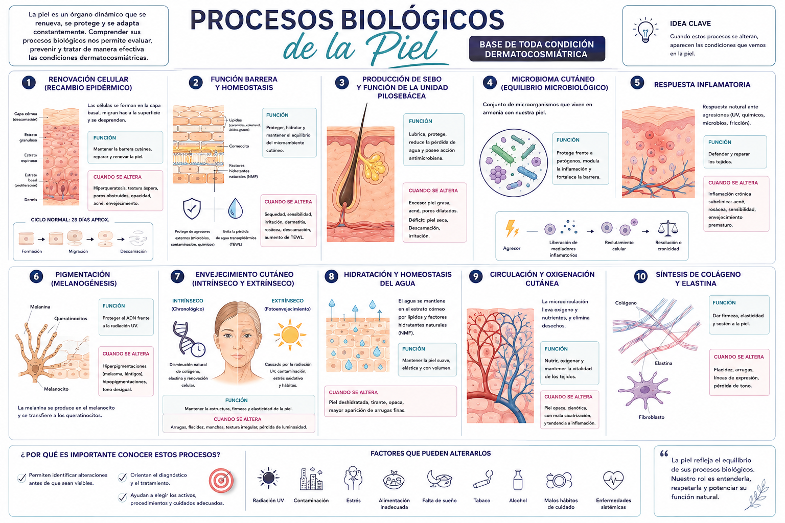 PROCESOS BIOLOGICOS